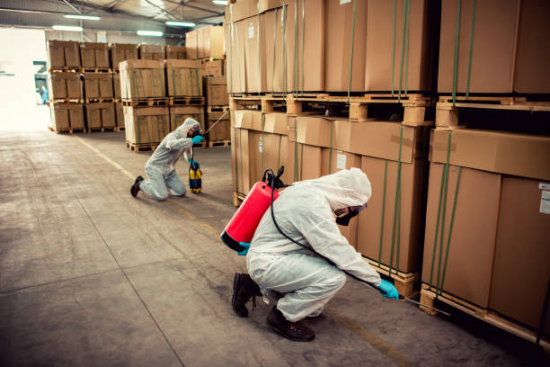 Best Pest Prevention Services  in Edinburg, IL