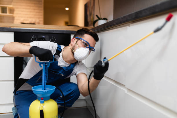 Best Termite Control Services  in Edinburg, IL