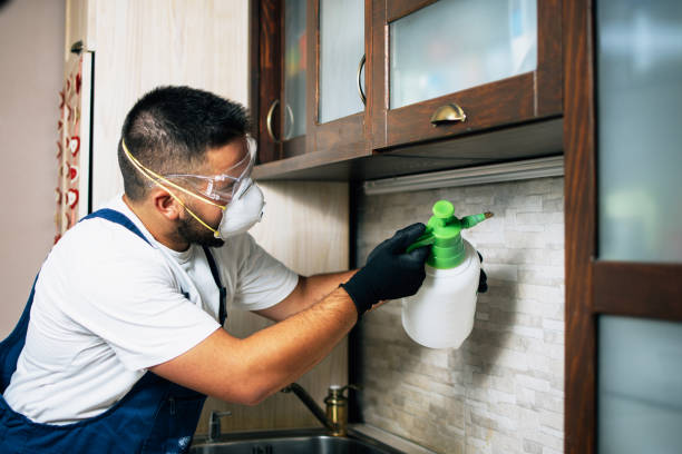Reliable Edinburg, IL Pest Control Solutions