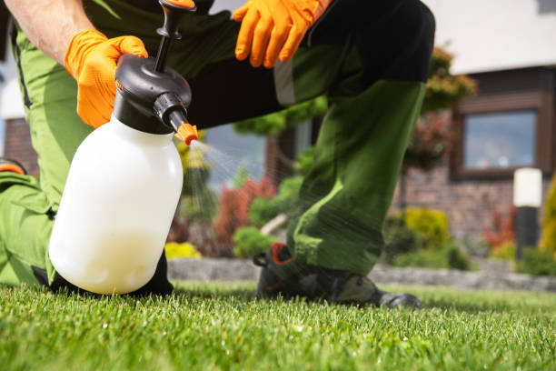 Best Pest Prevention Services  in Edinburg, IL