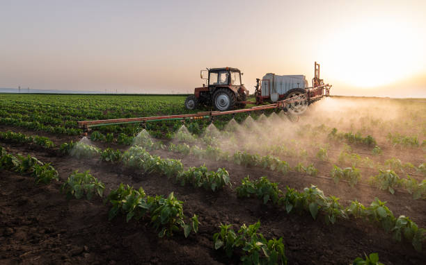 Best Ant Control Services  in Edinburg, IL