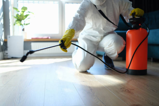Best Wildlife Control Services  in Edinburg, IL