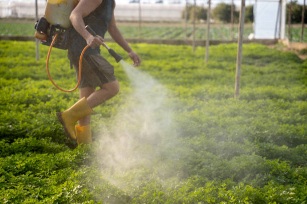 Best Local Pest Control Services  in Edinburg, IL