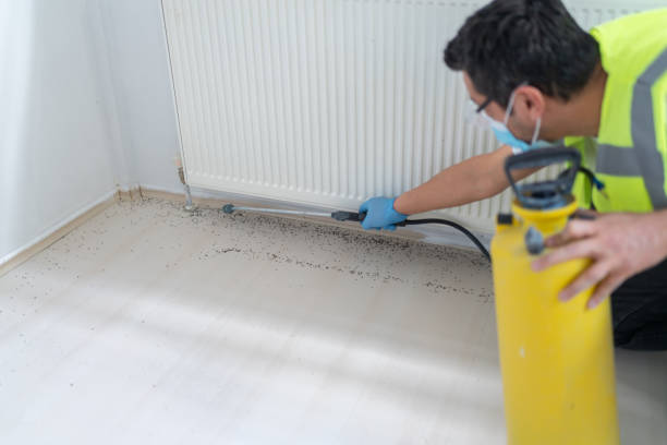 Best Exterminator Services  in Edinburg, IL