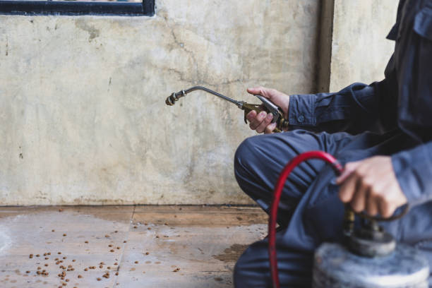 Best Emergency Pest Control  in Edinburg, IL