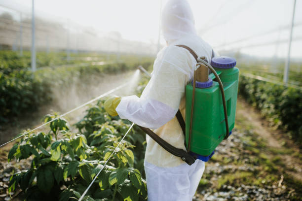 Best Emergency Pest Control  in Edinburg, IL